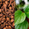 ​Cloves and betel leaf