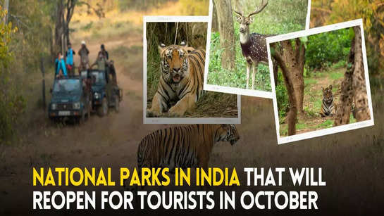 National parks in India that will reopen for tourists in October 