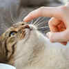 ​Attentive and responsible