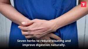 7 Herbs that can help reduce bloating