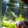 New lucky fish aquarium & pet supply best sale