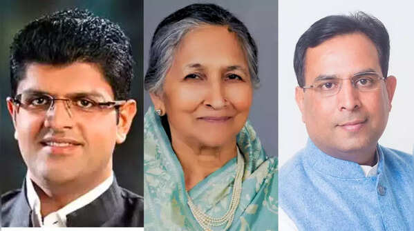 Wealth and power in Haryana elections