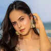Article image for: <i class="tbold">palak sindhwani</i>