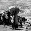 The first Arab-Israeli war (1948-1949)