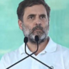 Haryana Elections 2024 Live Updates: 'Wherever BJP opened nafrat ka bazaar we opened Mohabbat ki dukaan', says Rahul Gandhi in Nuh