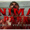 Animal Park