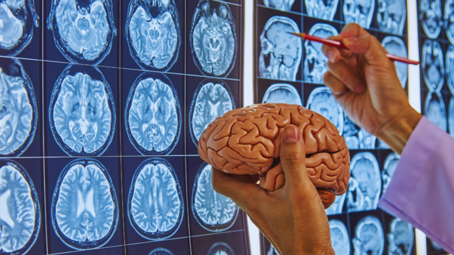 A trip to India&rsquo;s first-ever brain museum, where you can hold real human brains!