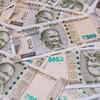 ​A promising economic future