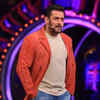 Article image for: <i class="tbold">bigg boss 17</i>