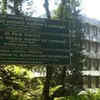 Sree Chitra Medical college