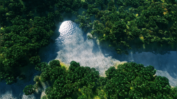 Learning from Ecosystems: Collaborative Study Groups