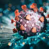 Article image for: Ever-evolving <i class="tbold">covid variants</i>