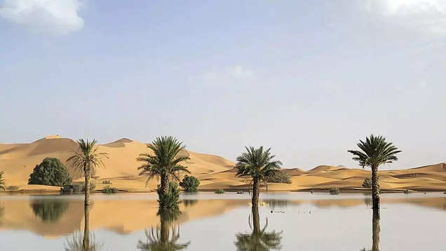 Rare rainfall transforms Sahara Desert, creating blue lagoons amid the sand dunes