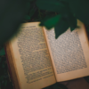 Conflict and Resolution: Improving Critical Thinking