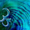 OM