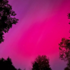Breathtaking neon hues