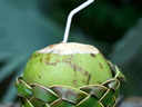 Coconut Water vs Coconut Milk: What's the difference?