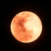 October 2024 filled with celestial events