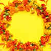 A connection to Surya dev