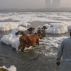 Experts urge action