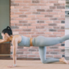 Bird dog exercise