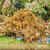 Cyclone Nisha