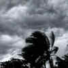 Cyclone Bhola