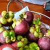 Mangosteen benefits 10 reasons to eat this highly nutrient fruit regularly Times of India