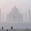 Health Crisis in Agra