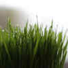 Natural detoxification 