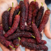 Mulberries