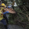 Clean-up operation