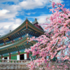 4. Taiwan - 94.2