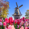 10. Netherlands - 92.8