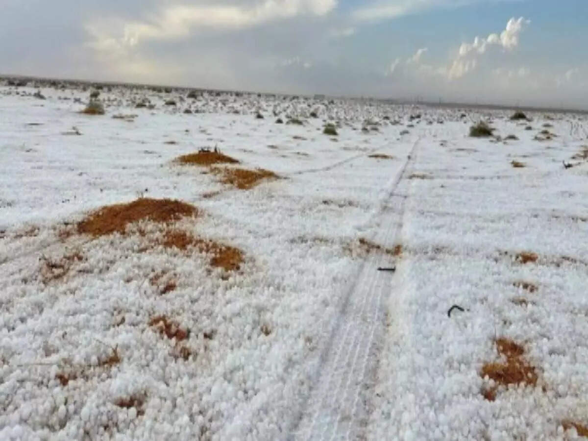 Saudi Arabian desert sees snowfall for the first time in history | Times of India Travel
