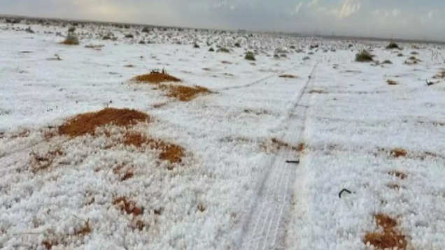 Saudi Arabian desert sees snowfall for the first time in history