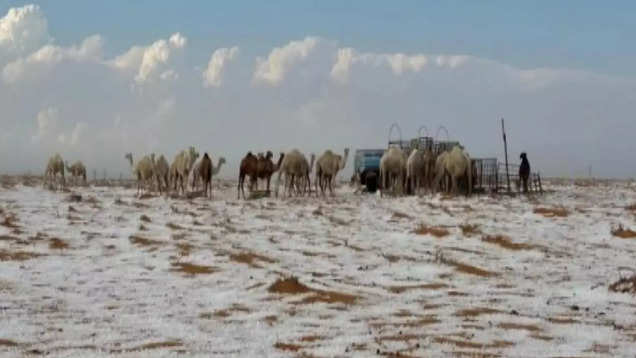 Saudi Arabian desert sees snowfall for the first time in history