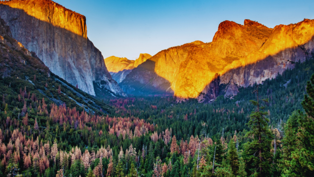 5 must-visit national parks in the US for your travel adventure