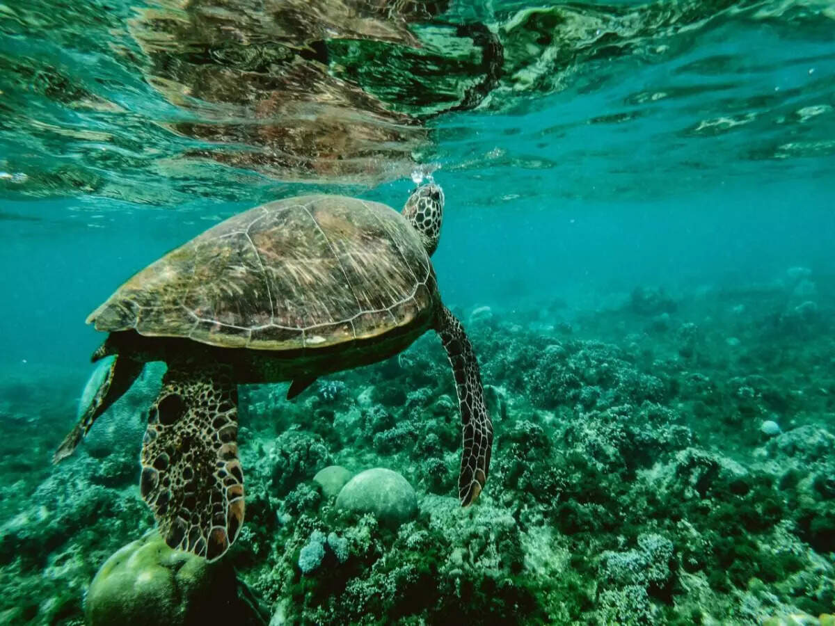 These Marine National Parks are India