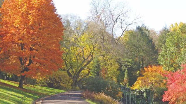 Stroll the charming streets and alleys of Philadelphia