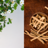 Ayurvedic herbs