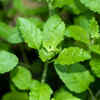 Do mantra chanting