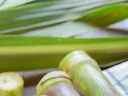 10 reasons why ganna (sugar cane) is a must-have fruit in winters