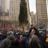 Crowds snap pictures as tree arrives