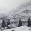 Winter wonderland