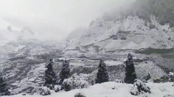 Winter wonderland