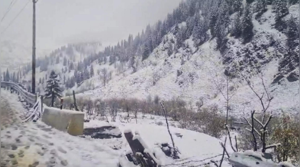 Snowy landscapes