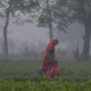 Delhi-NCR Air Pollution News Today Live: AQI reaches 'severe plus' level