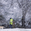 Heavy snowfall predictions