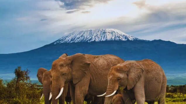 9 incredible ways to see Kenya like a pro